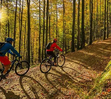 Вилла Berenice House And Relax *