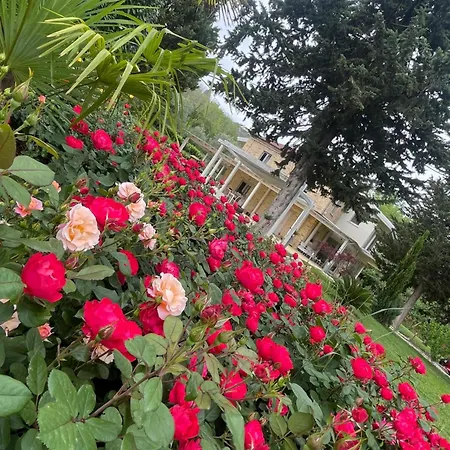 Berenice House&relax Villa San Giovanni Teatino