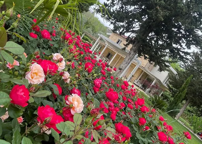 Berenice House&relax Villa San Giovanni Teatino